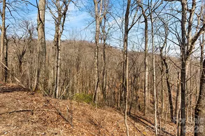 Lot 5 Laurel Mountain Trail, Black Mountain, NC 28711 - Photo 11