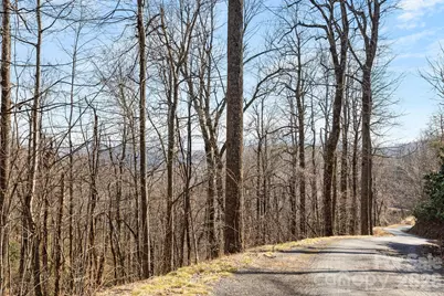 Lot 5 Laurel Mountain Trail, Black Mountain, NC 28711 - Photo 3