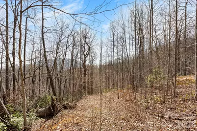Lot 5 Laurel Mountain Trail, Black Mountain, NC 28711 - Photo 5