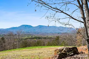 25 Preservation Trail, Columbus, NC 28722 - Photo 21