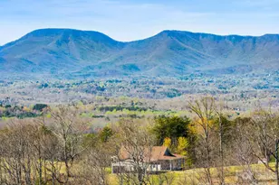 25 Preservation Trail, Columbus, NC 28722 - Photo 1