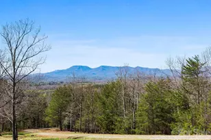 25 Preservation Trail, Columbus, NC 28722 - Photo 19