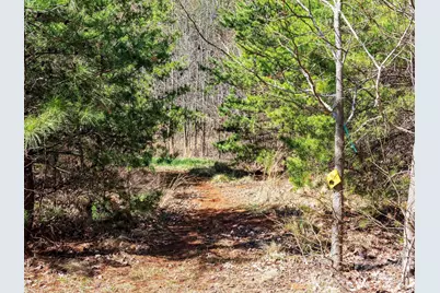 25 Preservation Trail, Columbus, NC 28722 - Photo 31