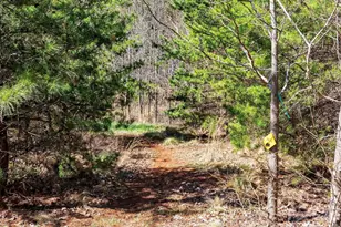 25 Preservation Trail, Columbus, NC 28722 - Photo 31