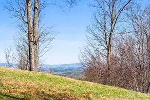 25 Preservation Trail, Columbus, NC 28722 - Photo 15