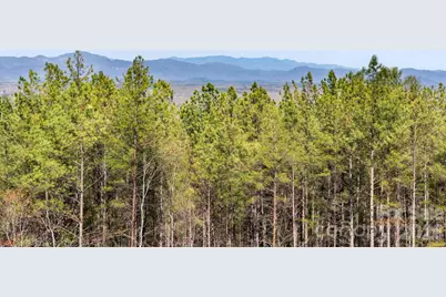 Tbd Williams Loop, Columbus, NC 28722 - Photo 11