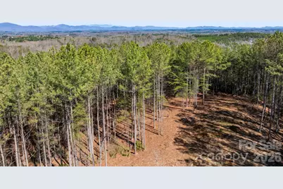 Tbd Williams Loop, Columbus, NC 28722 - Photo 27