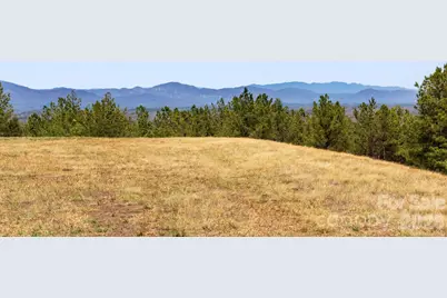 Tbd Williams Loop, Columbus, NC 28722 - Photo 5