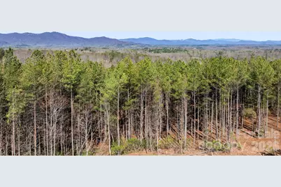 Tbd Williams Loop, Columbus, NC 28722 - Photo 15