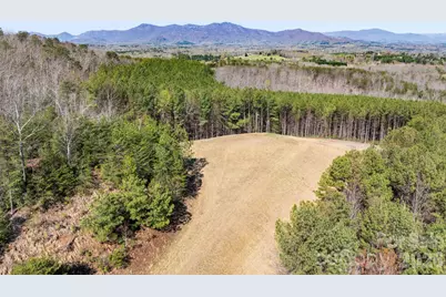 Tbd Williams Loop, Columbus, NC 28722 - Photo 23