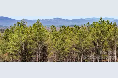 Tbd Williams Loop, Columbus, NC 28722 - Photo 13