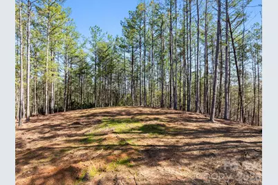 Tbd Williams Loop, Columbus, NC 28722 - Photo 29