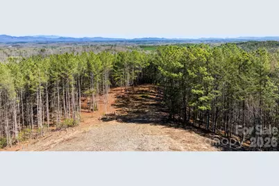 Tbd Williams Loop, Columbus, NC 28722 - Photo 9