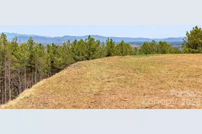 Tbd Williams Loop, Columbus, NC 28722 - Photo 7