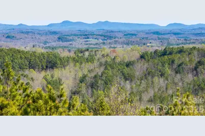 Tbd Williams Loop, Columbus, NC 28722 - Photo 19