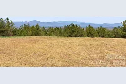 Tbd Williams Loop, Columbus, NC 28722 - Photo 3