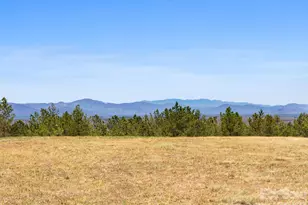 Tbd Williams Loop, Columbus, NC 28722 - Photo 1