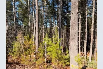 32 Clear View Way #133 PH 2, Nebo, NC 28761 - Photo 3