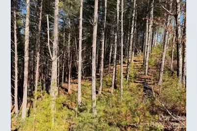 32 Clear View Way #133 PH 2, Nebo, NC 28761 - Photo 5