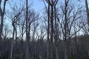 0000 Berea Ave, Connelly Springs, NC 28612 - Photo 1