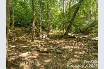 347 Blackberry Inn Road, Weaverville, NC 28787 - Photo 31