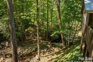 347 Blackberry Inn Rd, Weaverville, NC 28787 - Photo 35