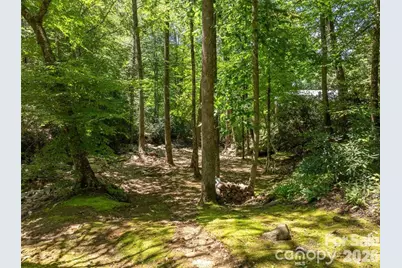 347 Blackberry Inn Road, Weaverville, NC 28787 - Photo 29