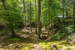 347 Blackberry Inn Rd, Weaverville, NC 28787 - Photo 29