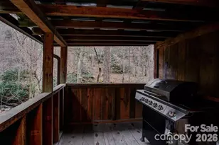 347 Blackberry Inn Rd, Weaverville, NC 28787 - Photo 27