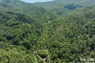 347 Blackberry Inn Rd, Weaverville, NC 28787 - Photo 7