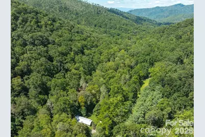 347 Blackberry Inn Road, Weaverville, NC 28787 - Photo 39