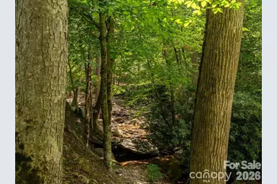 347 Blackberry Inn Road, Weaverville, NC 28787 - Photo 41