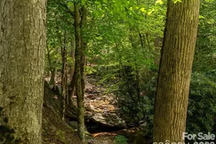 347 Blackberry Inn Rd, Weaverville, NC 28787 - Photo 41