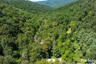 347 Blackberry Inn Rd, Weaverville, NC 28787 - Photo 33