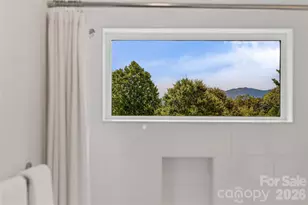 14 Davenport Rd, Asheville, NC 28806 - Photo 21