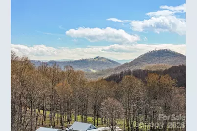 371 Ned Cove Road, Waynesville, NC 28785 - Photo 37