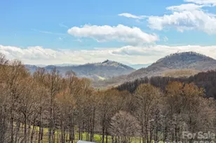 371 Ned Cove Rd, Waynesville, NC 28785 - Photo 37