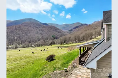 371 Ned Cove Road, Waynesville, NC 28785 - Photo 3