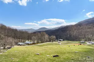 371 Ned Cove Rd, Waynesville, NC 28785 - Photo 29