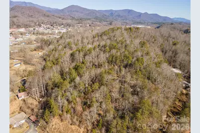 717 Bat Cave Road, Old Fort, NC 28762 - Photo 9