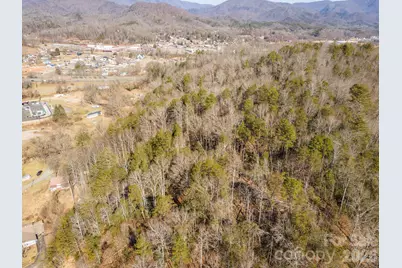 717 Bat Cave Road, Old Fort, NC 28762 - Photo 9