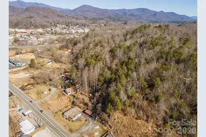 717 Bat Cave Road, Old Fort, NC 28762 - Photo 7