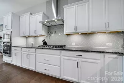 16408 Cozy Cove Road, Charlotte, NC 28278 - Photo 19