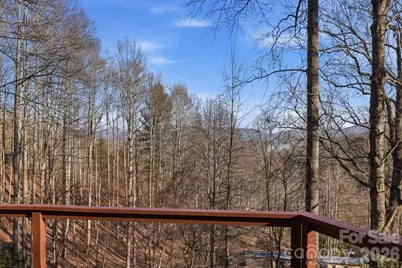 186 Greentree Lane, Canton, NC 28716 - Photo 27