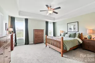 265 Fox Cove Rd, Hendersonville, NC 28792 - Photo 19