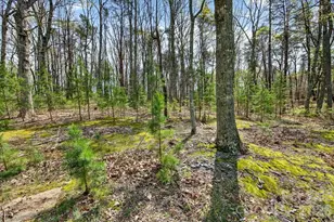 4624 S Olivers Cross Rd, Maiden, NC 28650 - Photo 43