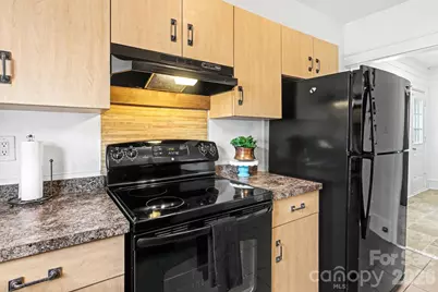 335 S Torrence Street, Charlotte, NC 28204 - Photo 19