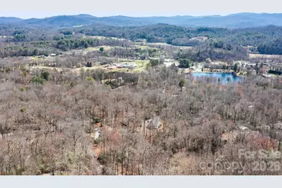0 Alpen Rose Way #2, Mills River, NC 28759 - Photo 19