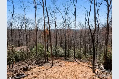 0 Alpen Rose Way #2, Mills River, NC 28759 - Photo 15