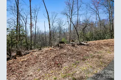 0 Alpen Rose Way #2, Mills River, NC 28759 - Photo 11